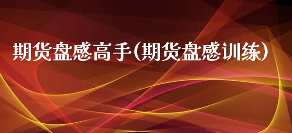 期货盘感高手(期货盘感训练)_交易百科_第1张_格子财经网 期货盘感高手(期货盘感训练)_https://www.gzmhy.com_交易百科_第1张