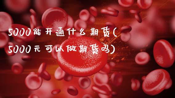 5000能开通什么期货(5000元可以做期货吗)_https://www.gzmhy.com_基金理财_第1张