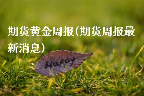 期货黄金周报(期货周报最新消息)_https://www.gzmhy.com_交易百科_第1张