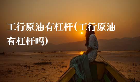 工行原油有杠杆(工行原油有杠杆吗)_https://www.gzmhy.com_期货理财_第1张