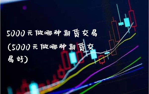 5000元做哪种期货交易(5000元做哪种期货交易好)_https://www.gzmhy.com_理财品种_第1张