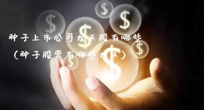 种子上市公司龙头股有哪些（种子股票有哪些龙头）_https://www.gzmhy.com_基金理财_第1张