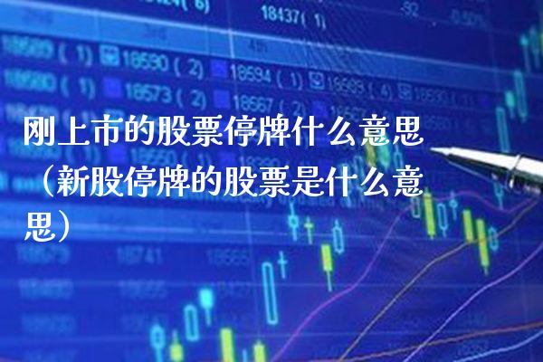 刚上市的股票停牌什么意思（新股停牌的股票是什么意思）_https://www.gzmhy.com_理财品种_第1张