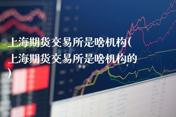 上海期货交易所是啥机构(上海期货交易所是啥机构的)_https://www.gzmhy.com_保险理财_第1张