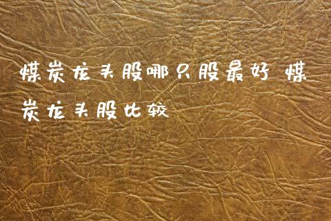 煤炭龙头股哪只股最好 煤炭龙头股比较_https://www.gzmhy.com_股票理财_第1张