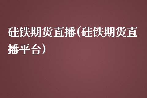 硅铁期货直播(硅铁期货直播平台)_https://www.gzmhy.com_理财品种_第1张