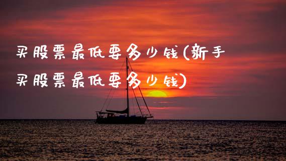 买股票最低要多少钱(新手买股票最低要多少钱)_https://www.gzmhy.com_保险理财_第1张