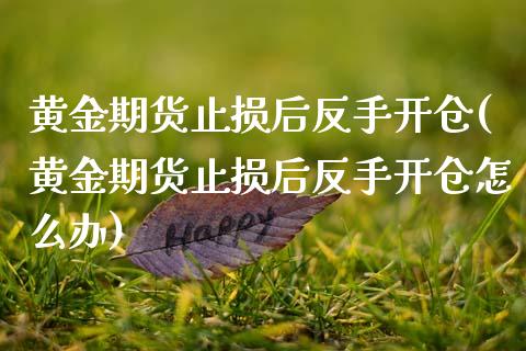 黄金期货止损后反手开仓(黄金期货止损后反手开仓怎么办)_https://www.gzmhy.com_股票理财_第1张