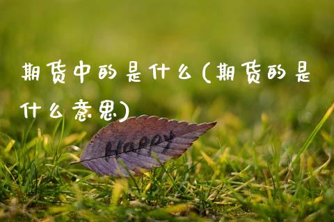 期货中的是什么(期货的是什么意思)_基金理财_第1张_格子财经网 期货中的是什么(期货的是什么意思)_https://www.gzmhy.com_基金理财_第1张