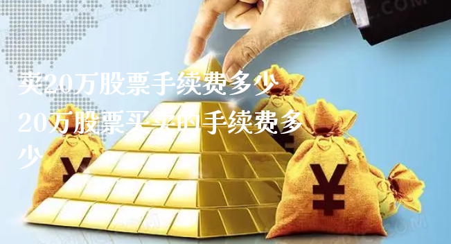卖20万股票手续费多少 20万股票买卖的手续费多少_https://www.gzmhy.com_股票理财_第1张