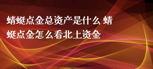 蜻蜓**总资产是什么 蜻蜓**怎么看北上资金_https://www.gzmhy.com_理财品种_第1张