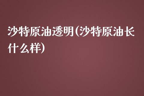 沙特原油透明(沙特原油长什么样)_https://www.gzmhy.com_保险理财_第1张