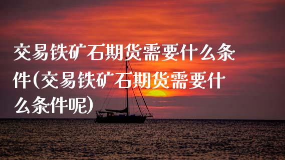 交易铁矿石期货需要什么条件(交易铁矿石期货需要什么条件呢)_https://www.gzmhy.com_期货理财_第1张