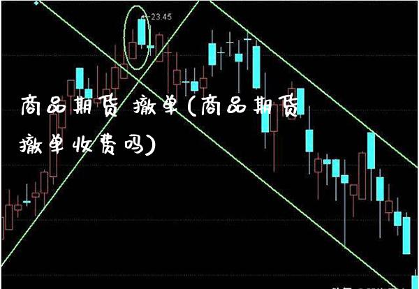 商品期货 撤单(商品期货撤单收费吗)_https://www.gzmhy.com_期货理财_第1张