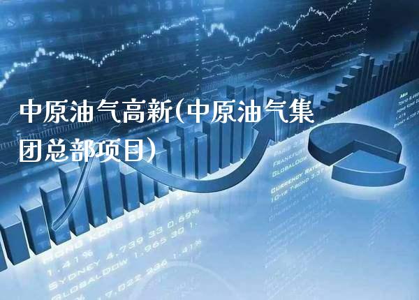 中原油气高新(中原油气集团总部项目)_https://www.gzmhy.com_财经资讯_第1张