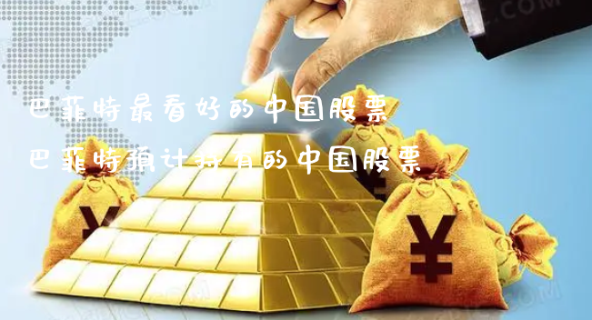巴菲特最看好的中国股票 巴菲特预计持有的中国股票_https://www.gzmhy.com_交易百科_第1张