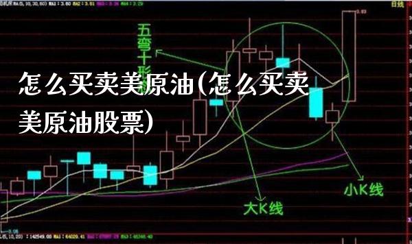 怎么买卖美原油(怎么买卖美原油股票)_https://www.gzmhy.com_基金理财_第1张