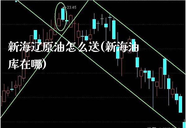 新海辽原油怎么送(新海油库在哪)_https://www.gzmhy.com_股票理财_第1张