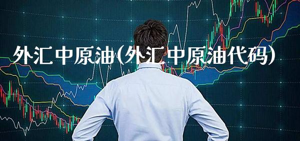 外汇中原油(外汇中原油代码)_https://www.gzmhy.com_期货理财_第1张