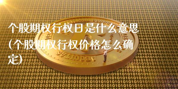 个股期权行权日是什么意思(个股期权行权价格怎么确定)_https://www.gzmhy.com_保险理财_第1张