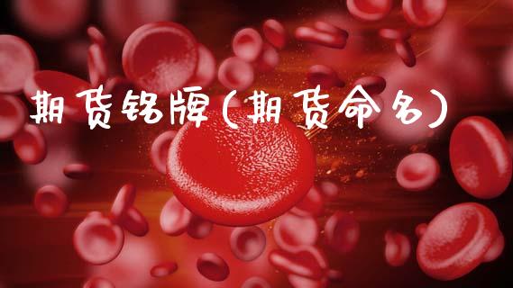 期货铭牌(期货命名)_https://www.gzmhy.com_期货理财_第1张