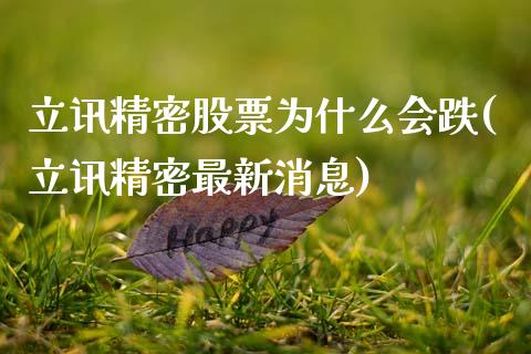 立讯精密股票为什么会跌(立讯精密最新消息)_https://www.gzmhy.com_股票理财_第1张
