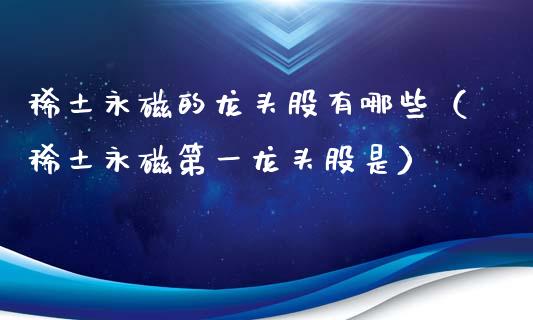 **永磁的龙头股有哪些（**永磁第一龙头股是）_https://www.gzmhy.com_股票理财_第1张