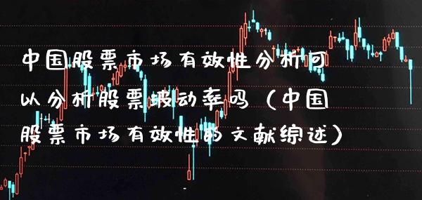 中国股票市场有效性分析可以分析股票波动率吗（中国股票市场有效性的文献综述）_https://www.gzmhy.com_股票理财_第1张