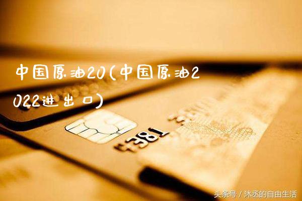 中国原油20(中国原油2022进出口)_https://www.gzmhy.com_理财品种_第1张
