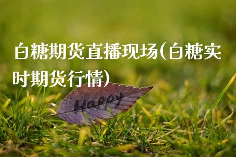 白糖期货直播现场(白糖实时期货行情)_交易百科_第1张_格子财经网 白糖期货直播现场(白糖实时期货行情)_https://www.gzmhy.com_交易百科_第1张