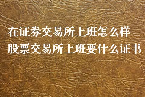 在证券交易所上班怎么样 股票交易所上班要什么证书_https://www.gzmhy.com_财经资讯_第1张