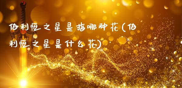 伯利恒之星是指哪种花(伯利恒之星是什么花)_理财产品_第1张_格子财经网 伯利恒之星是指哪种花(伯利恒之星是什么花)_https://www.gzmhy.com_理财产品_第1张