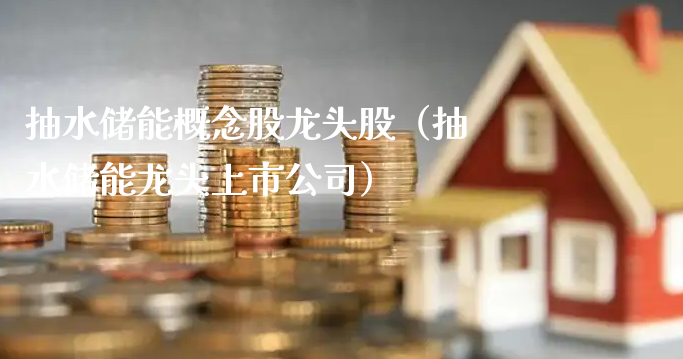 抽水储能概念股龙头股（抽水储能龙头上市公司）_https://www.gzmhy.com_股票理财_第1张