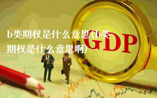 b类期权是什么意思(b类期权是什么意思啊)_https://www.gzmhy.com_理财品种_第1张