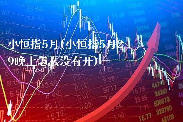 小恒指5月(小恒指5月29晚上怎么没有开)_https://www.gzmhy.com_期货理财_第1张