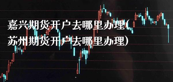 嘉兴期货开户去哪里办理(苏州期货开户去哪里办理)_https://www.gzmhy.com_保险理财_第1张