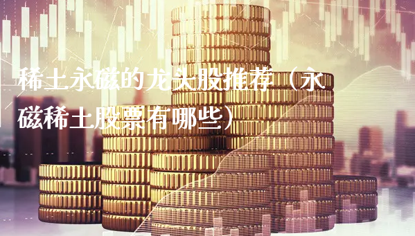 **永磁的龙头股推荐（永磁**股票有哪些）_https://www.gzmhy.com_保险理财_第1张