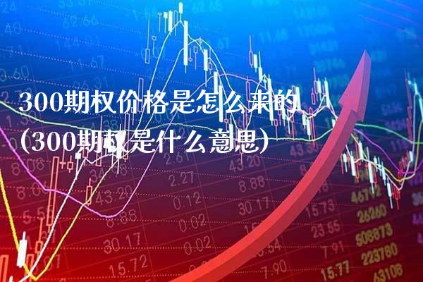 300期权价格是怎么来的(300期权是什么意思)_https://www.gzmhy.com_交易百科_第1张