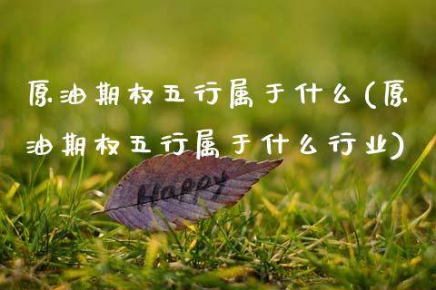原油期权五行属于什么(原油期权五行属于什么行业)_股票理财_第1张_格子财经网 原油期权五行属于什么(原油期权五行属于什么行业)_https://www.gzmhy.com_股票理财_第1张