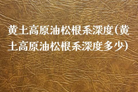 黄土高原油松根系深度(黄土高原油松根系深度多少)_股票理财_第1张_格子财经网 黄土高原油松根系深度(黄土高原油松根系深度多少)_https://www.gzmhy.com_股票理财_第1张