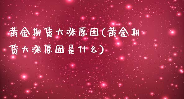黄金期货大涨原因(黄金期货大涨原因是什么)_https://www.gzmhy.com_交易百科_第1张