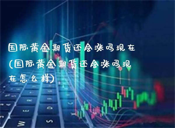国际黄金期货还会涨吗现在(国际黄金期货还会涨吗现在怎么样)_https://www.gzmhy.com_期货理财_第1张