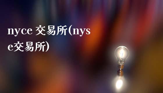 nyce 交易所(nyse交易所)_https://www.gzmhy.com_理财品种_第1张