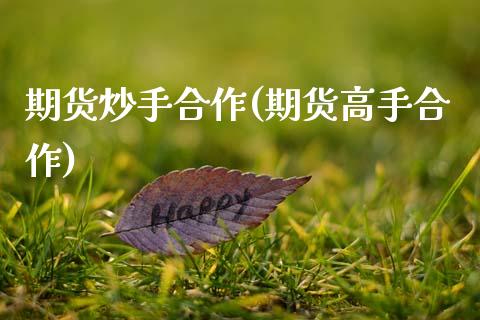 期货炒手合作(期货高手合作)_https://www.gzmhy.com_理财产品_第1张