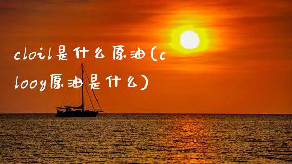 cloil是什么原油(clooy原油是什么)_https://www.gzmhy.com_交易百科_第1张