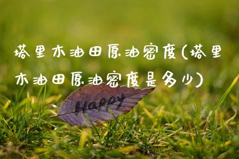 塔里木油田原油密度(塔里木油田原油密度是多少)_期货理财_第1张_格子财经网 塔里木油田原油密度(塔里木油田原油密度是多少)_https://www.gzmhy.com_期货理财_第1张