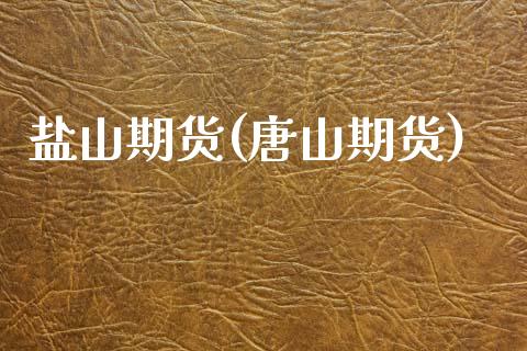 盐山期货(唐山期货)_https://www.gzmhy.com_理财品种_第1张
