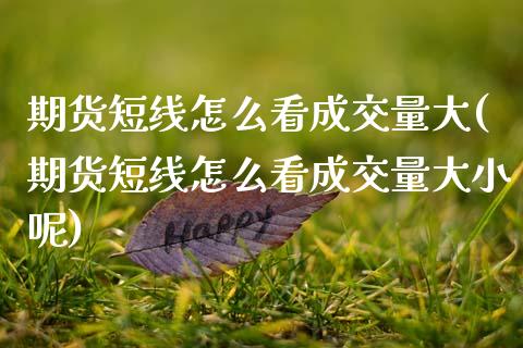 期货短线怎么看成交量大(期货短线怎么看成交量大小呢)_理财品种_第1张_格子财经网 期货短线怎么看成交量大(期货短线怎么看成交量大小呢)_https://www.gzmhy.com_理财品种_第1张