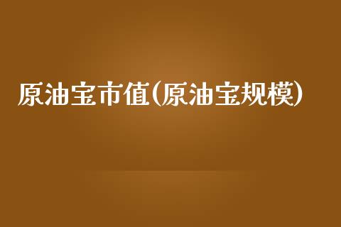 原油宝市值(原油宝规模)_https://www.gzmhy.com_期货理财_第1张