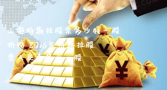 上海特斯拉股票多少钱一股价格 2016年特斯拉股票**币多少一股_https://www.gzmhy.com_理财品种_第1张